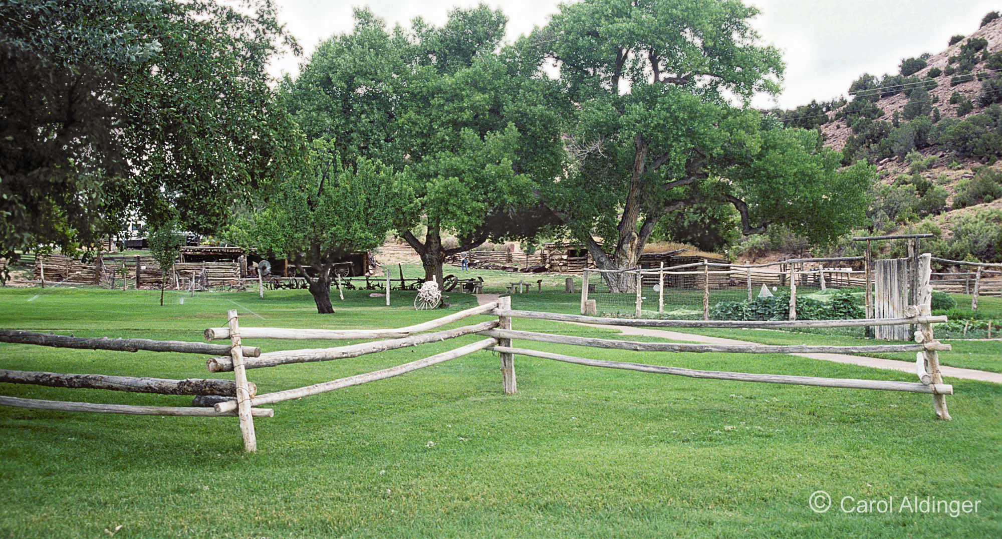 Jarvies Ranch