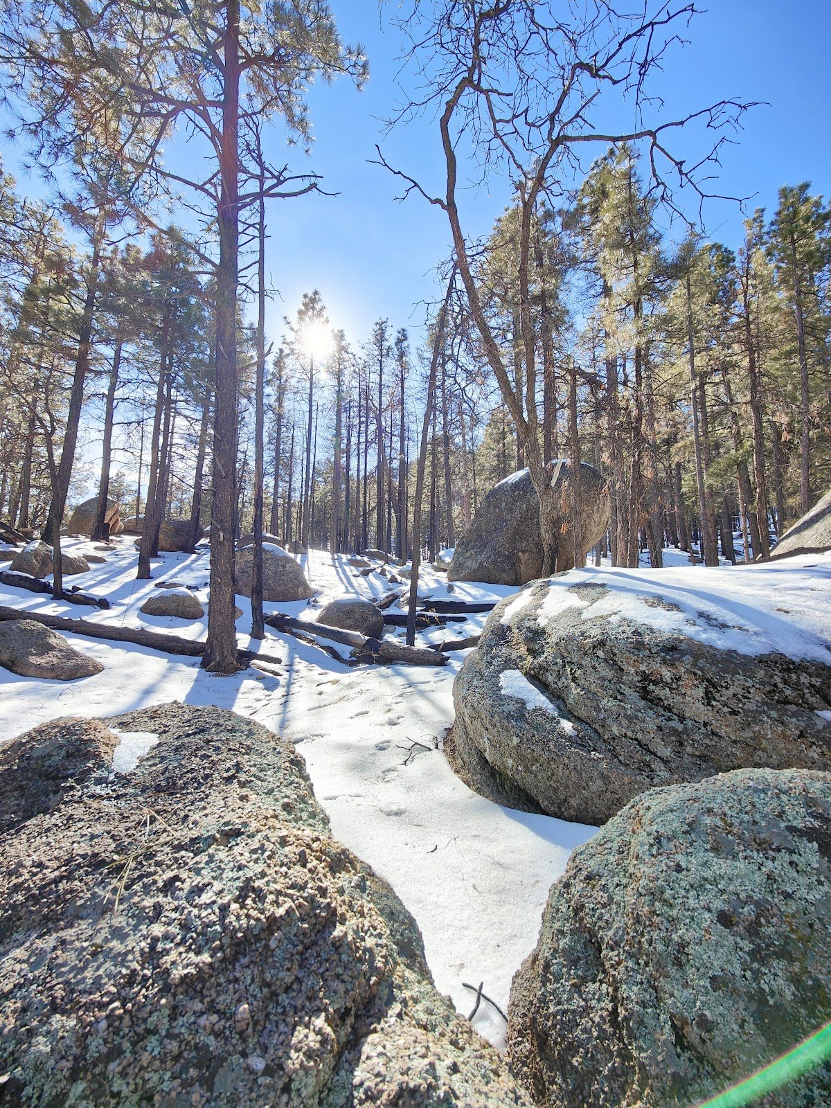 Hualapai Mountain Park - Kingman Tourism