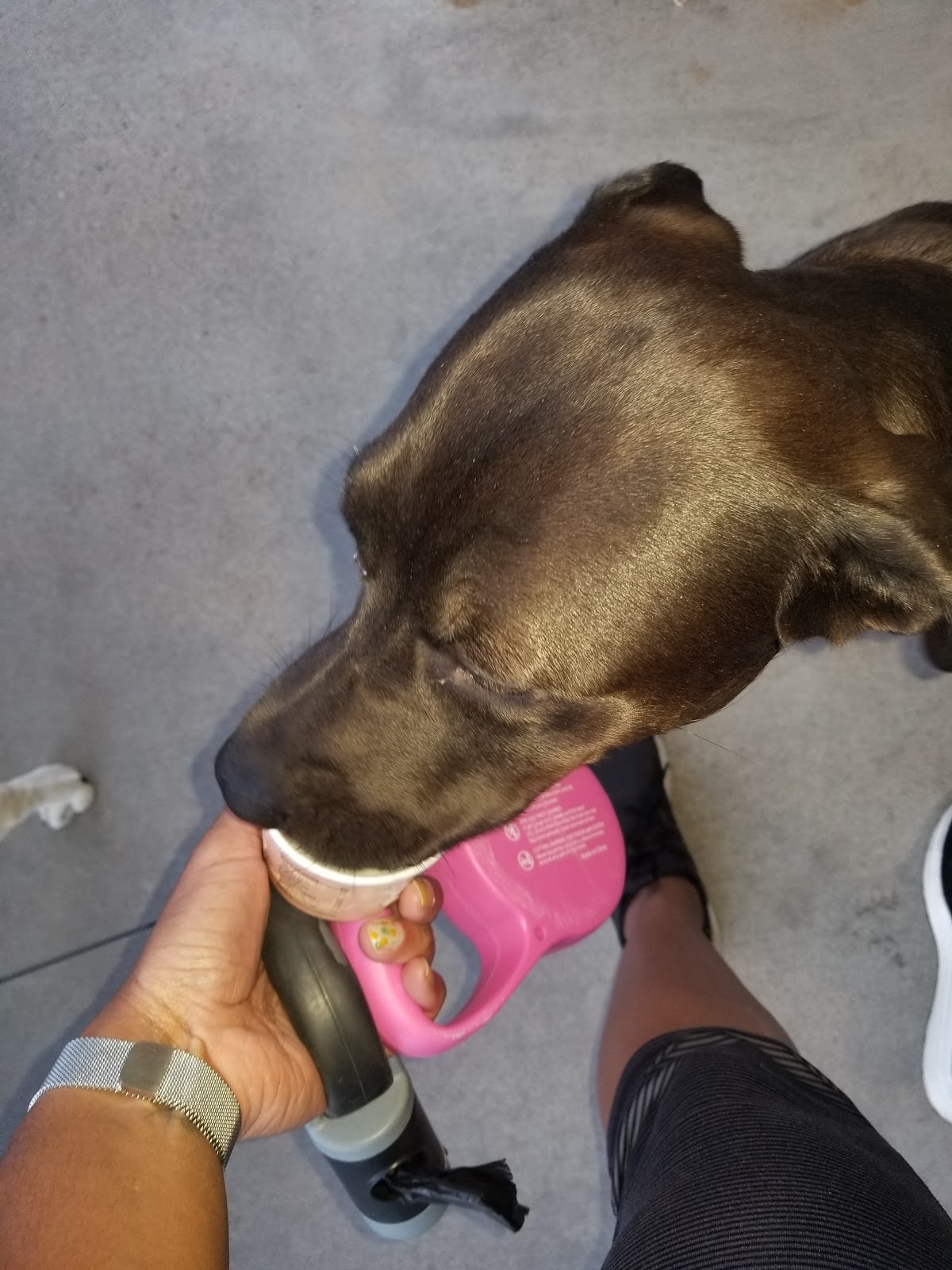 Frozen Yogurt Island Kingman Tourism