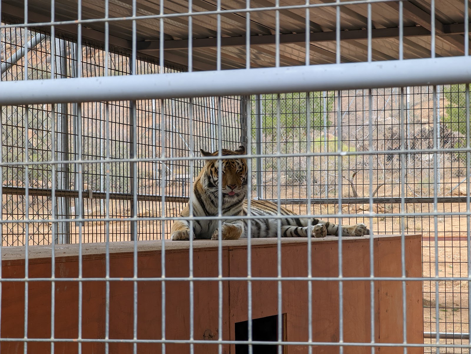 Keepers of the Wild Kingman Tourism