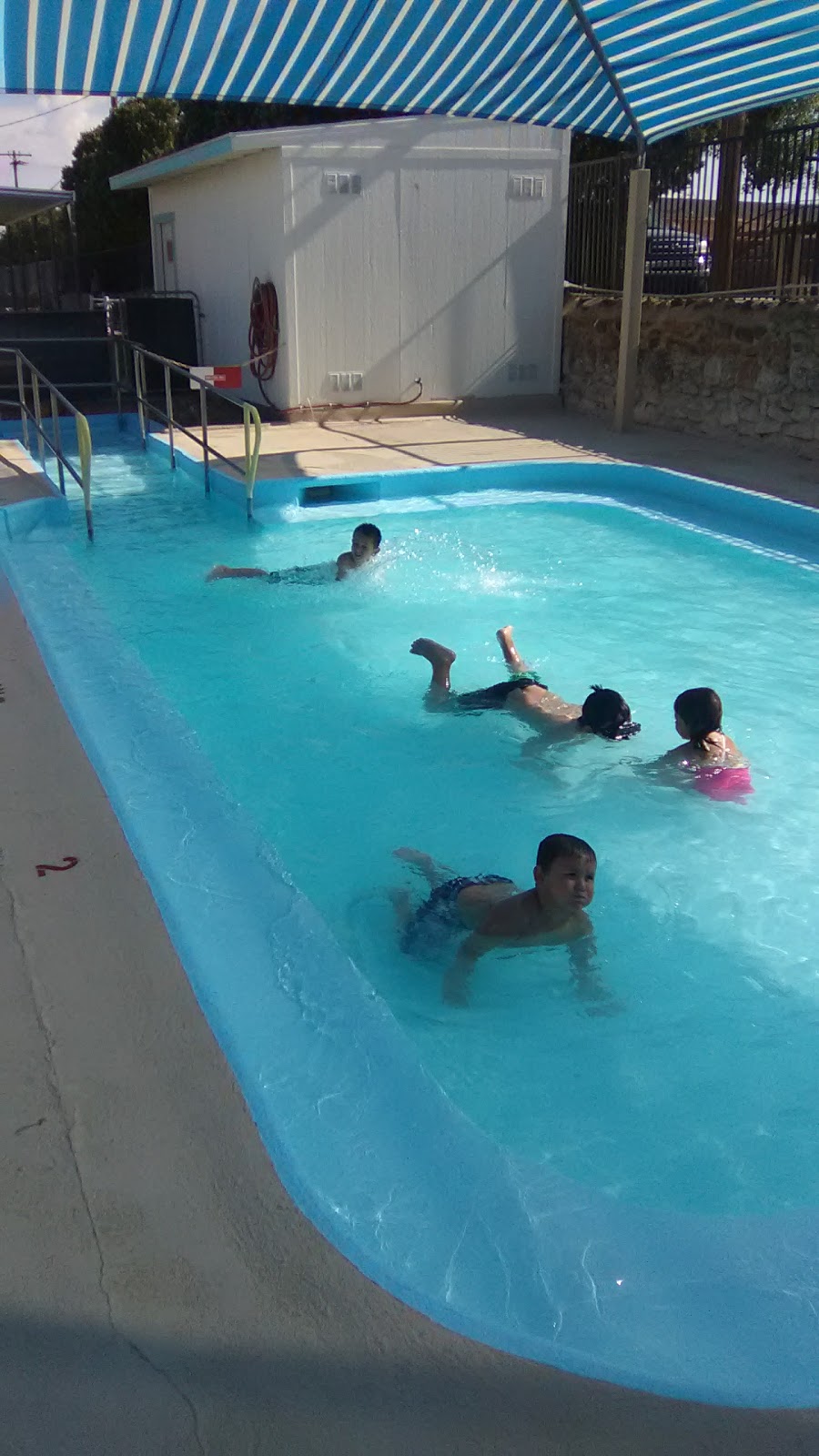 Grandview Pool Kingman Tourism