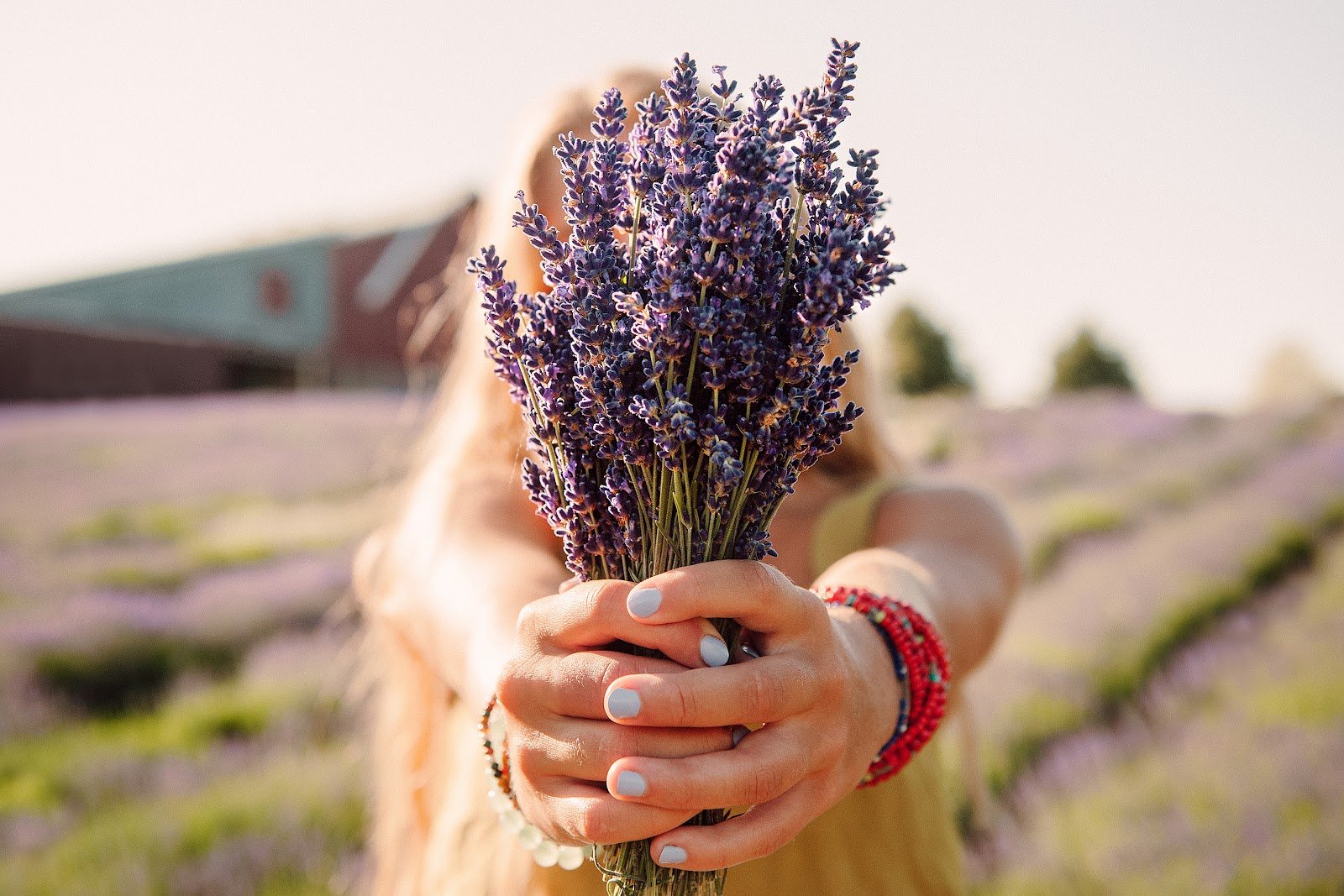 Organic Moth-Away — Hill Country Lavender