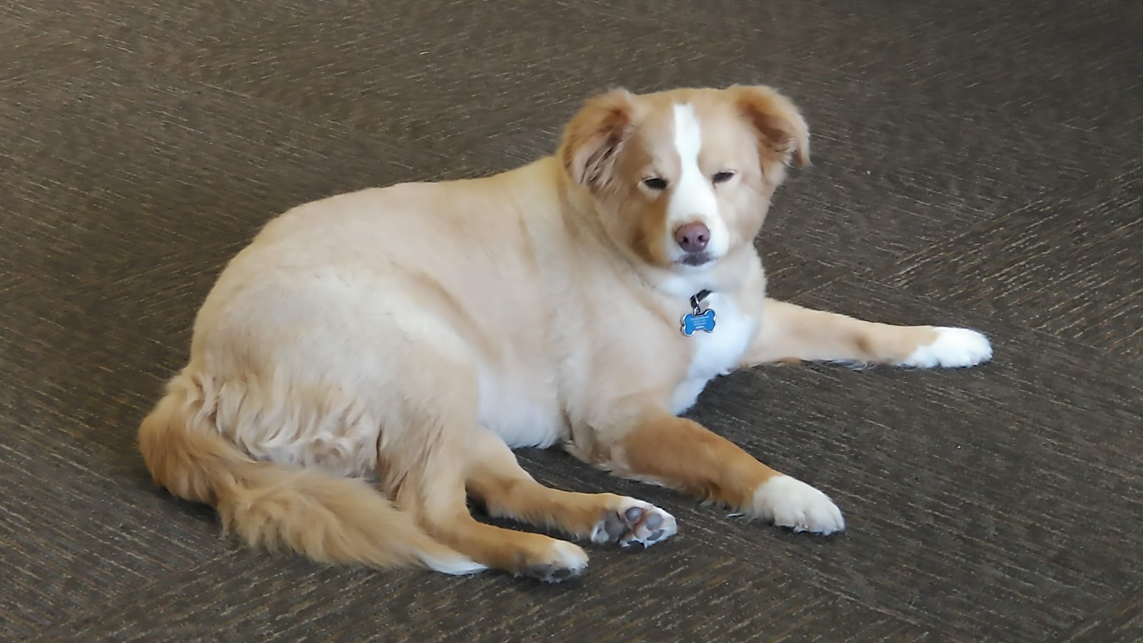 Garlands Navajo Rugs Sedona, Arizona