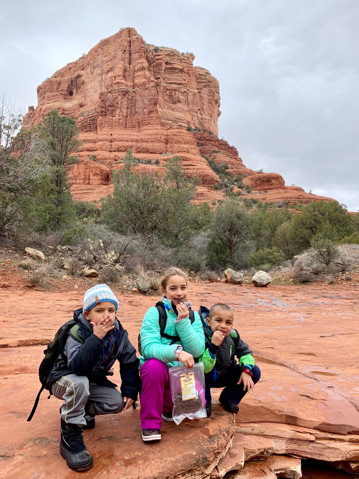 Beef Jerky Experience