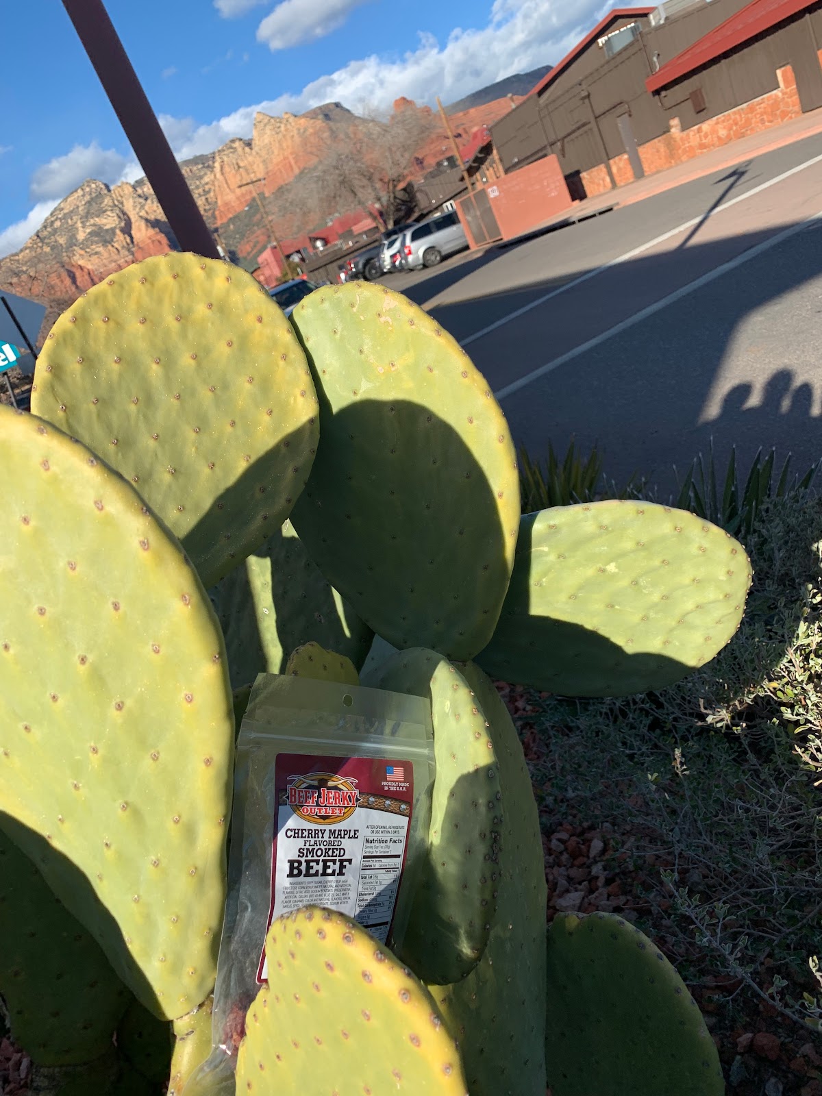 Beef Jerky Experience