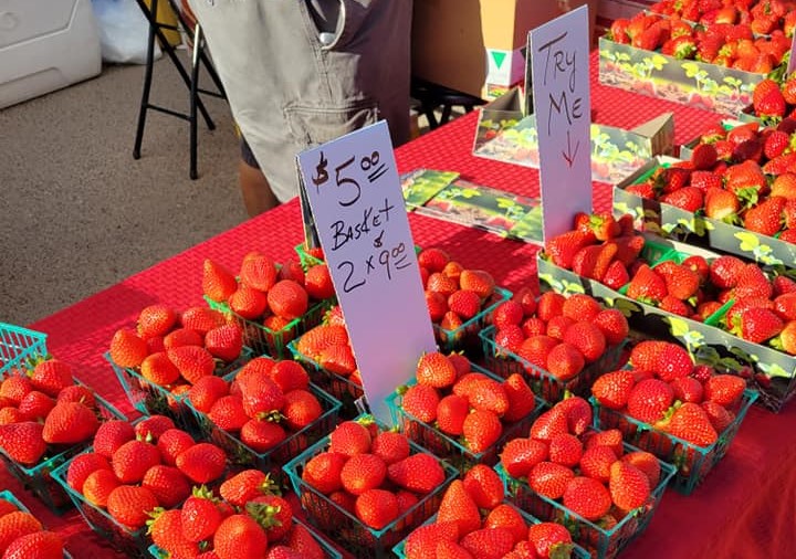Kingman Farmers Market at ThunderRode