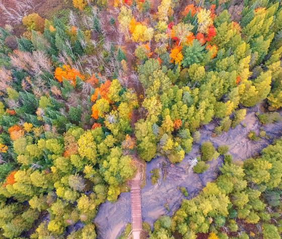 Fall Color Tour