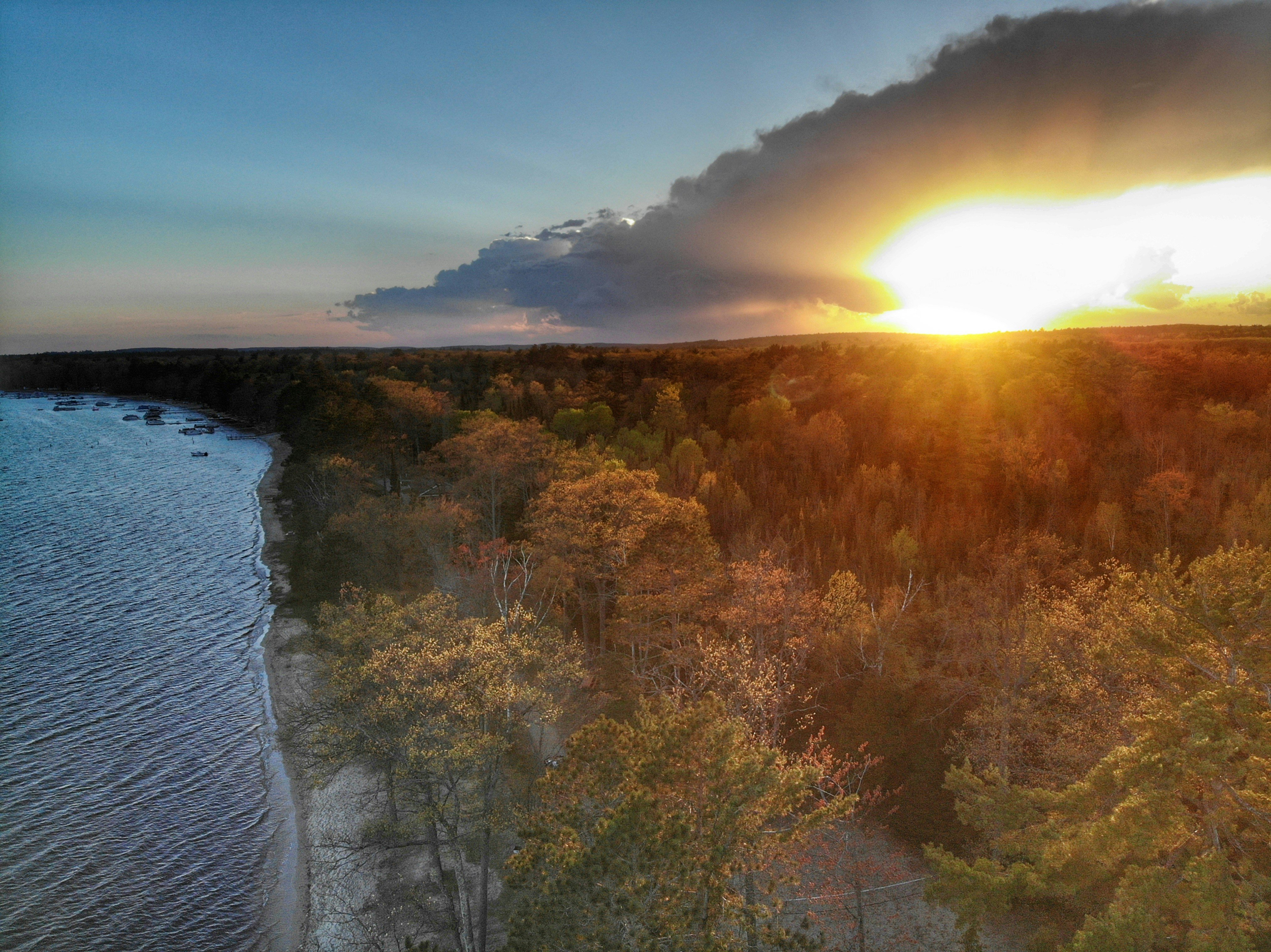 Higgins Lake