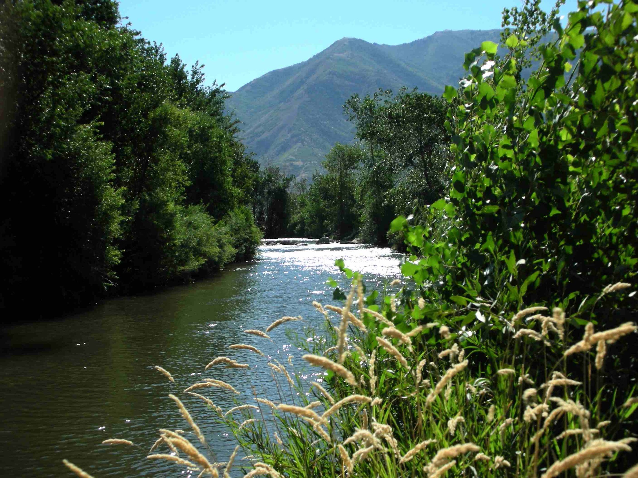 Weber River